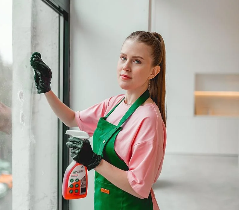 Мытье окон в Петрозаводске